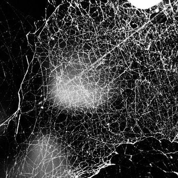 Hadopelagyal - Haematophoryktos LP